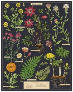 "Herbarium- Blumen" Cavallini Vintage Puzzle, 1000 Teile